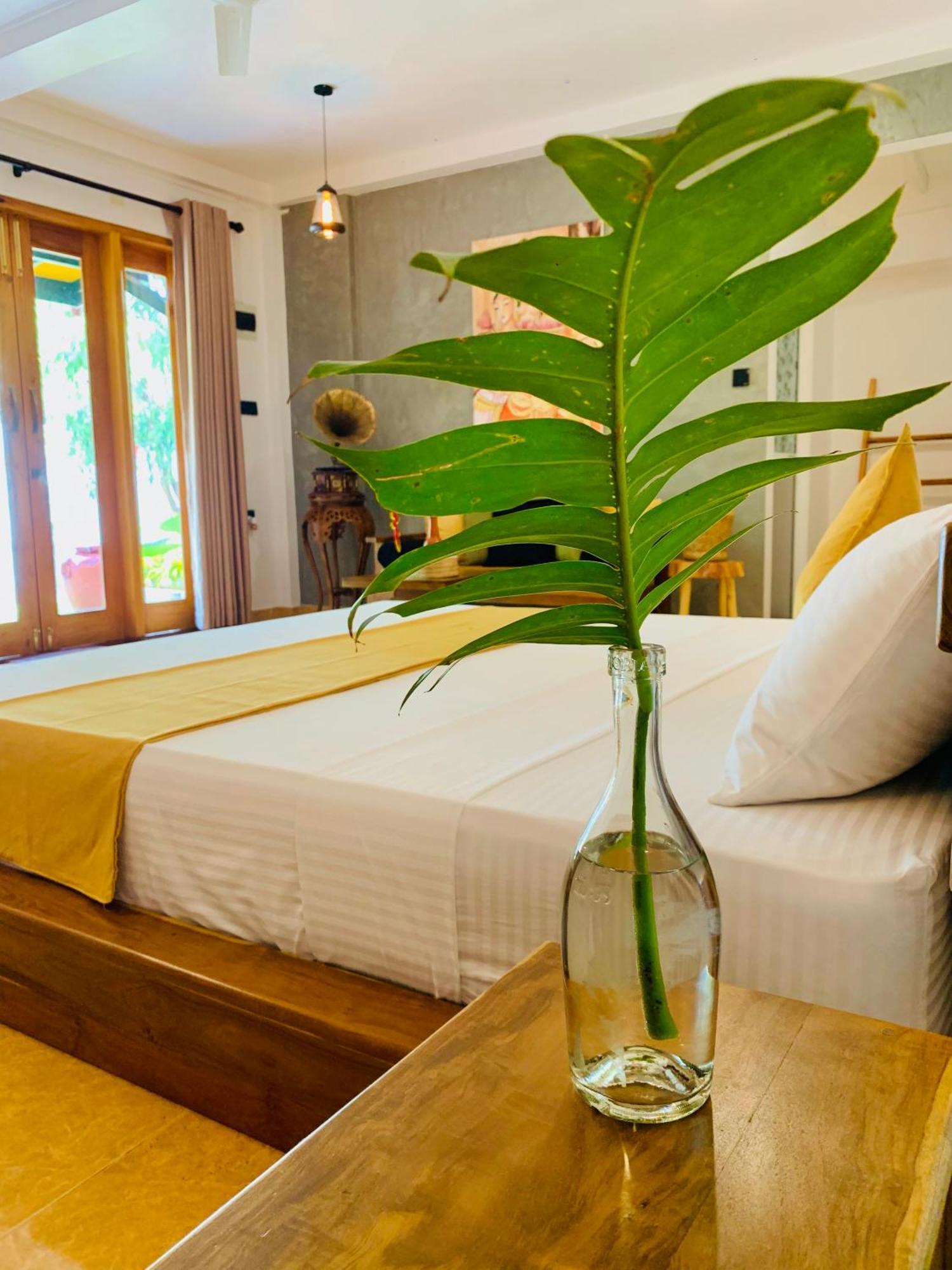 Breeze Bay Villa Dikwella Exteriér fotografie